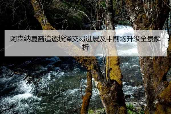 阿森纳夏窗追逐埃泽交易进展及中前场升级全景解析