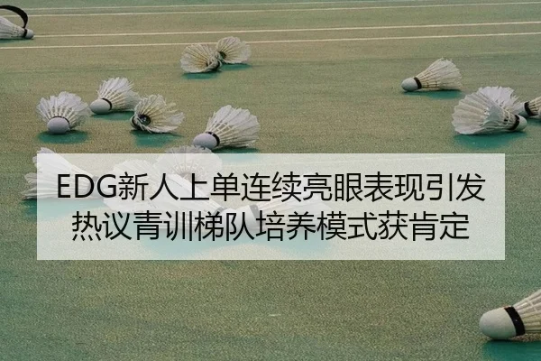 EDG新人上单连续亮眼表现引发热议青训梯队培养模式获肯定